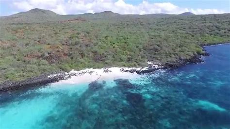 Galapagos By Drone Champion Island And Floreana Island Youtube