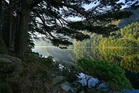 Glendalough Lake