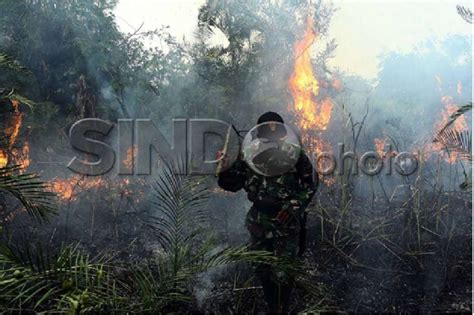 Cegah Karhutla Bnpb Siagakan Puluhan Helikopter