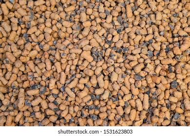 Bloating Clay Aggregate Images Stock Photos Vectors Shutterstock