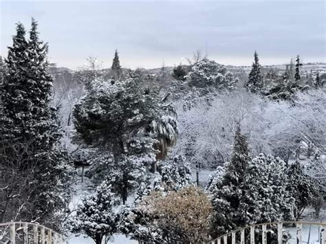 Chihuahua Se Congela Nieve Aguanieve Y Temperatura De 10 Grados