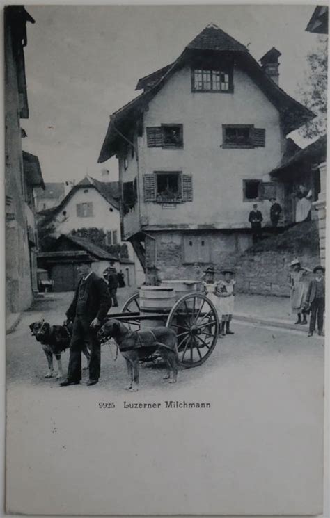 1905 Postkarte Luzerner Milchmann Gelaufen Kaufen Auf Ricardo