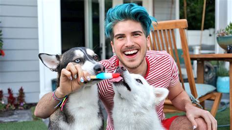 Joey Graceffa On Twitter Wolf Loves His Brother I Promise 🇺🇸🎉🍦🐶