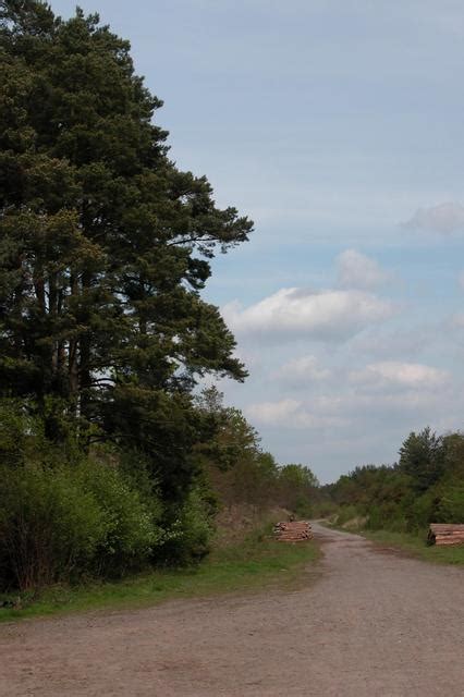 Dismantled Railway Longmoor Martyn Pattison Cc By Sa 2 0 Geograph