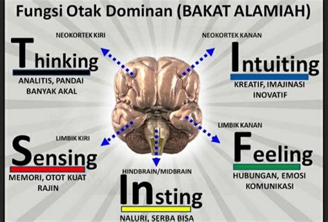 Ceritaku Kenali Diri Lewat Tes Stifin