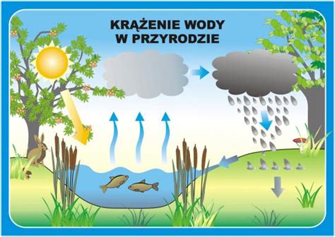 Obieg Wody W Przyrodzie Wed Ug Froebel Przedszkole Rusa Ka