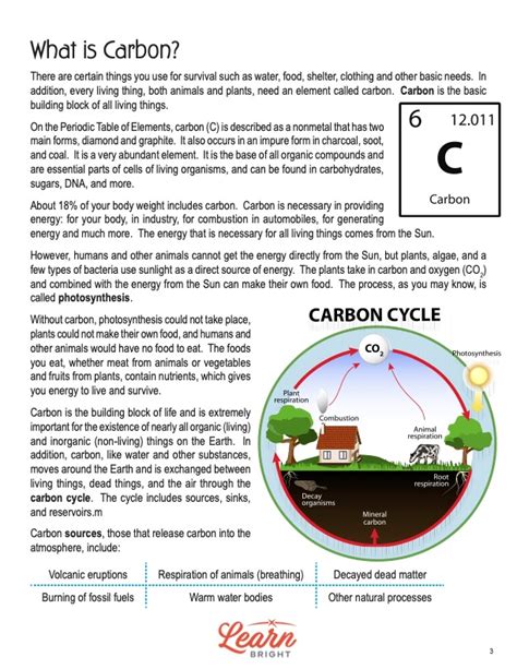 Carbon Cycle Game Resource Rsc Education Worksheets Library