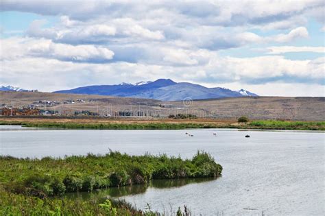 Laguna Nimez Reserva In El Calafate Patagonia Argentina Stock Photo