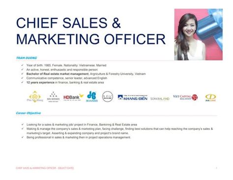 Chief marketing officer job description