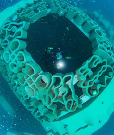 Man Made Coral Reefs With 3d Concrete Printing — Cybe Construction