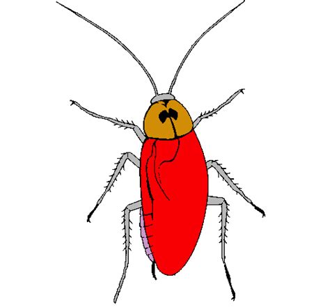 Dibujo de Cucaracha grande pintado por Dani en Dibujos net el día 16 08