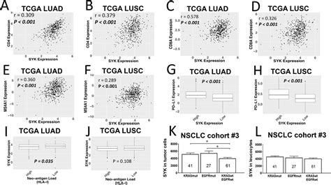 Tumor Cell Syk Expression Modulates The Tumor Immune Microenvironment