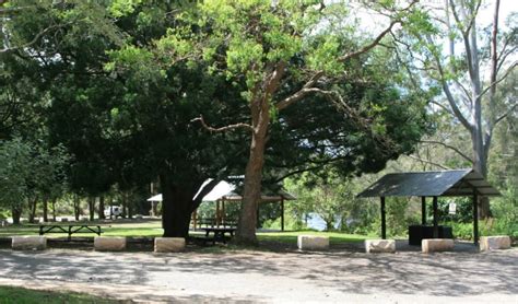 Casuarina Point Picnic Area Nsw National Parks