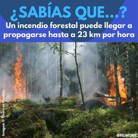 Un Incendio Forestal Puede Llegar A Propagarse Hasta A 23 Km Hora