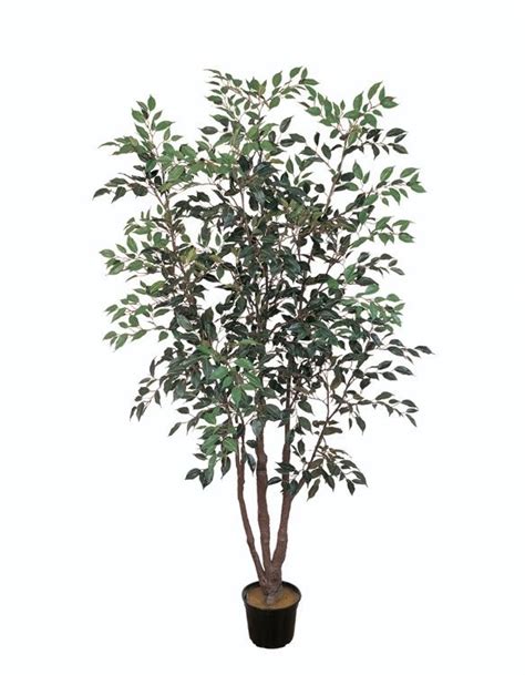 Earthflora Faux Ficus Trees Ef 4798 6 Feet Ficus Tree 1563 Leaves Green