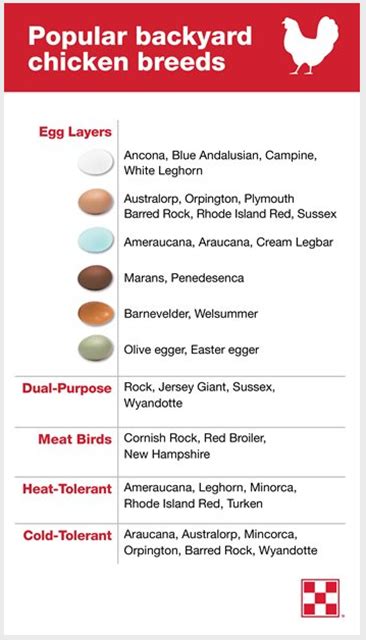 Ameraucana Egg Color Chart