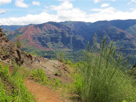 Waimea River Kauai Packrafting Best Rafting And Kayaking Expeditions