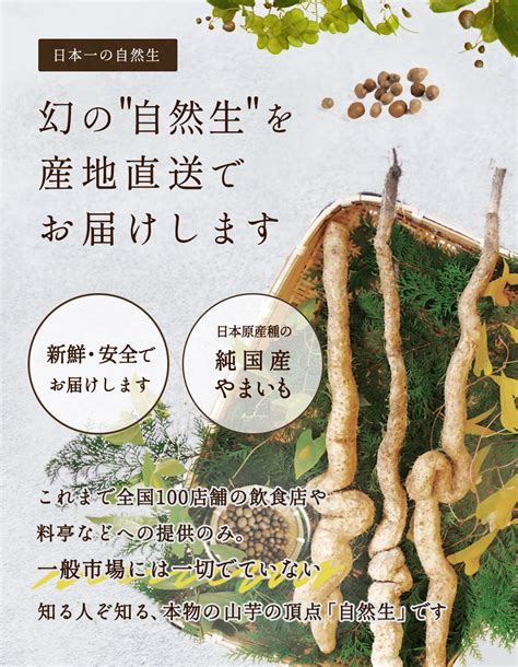 自然薯 山芋 違い 山芋と長芋、自然薯の違いは？栄養やそれぞれの特徴は？ Fbr