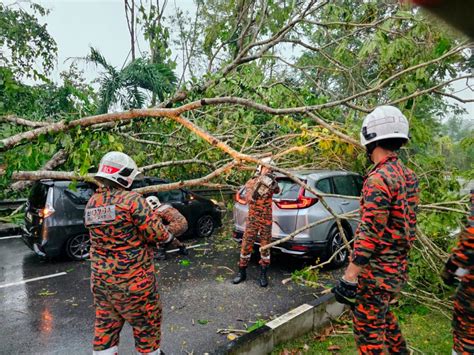 Lima Individu Nyaris Maut Pokok Tumbang Hempap Kenderaan Media Variasi