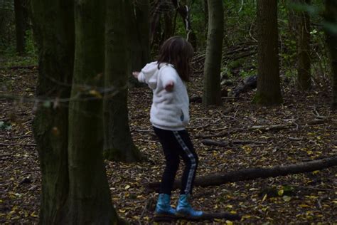 Walking In Ijsselbos A Litlle Forrest Angela Dolron Flickr