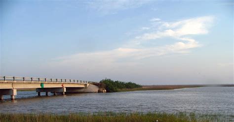 Adventures In Nature Tres Palacios Bay And Sloughs Central Texas