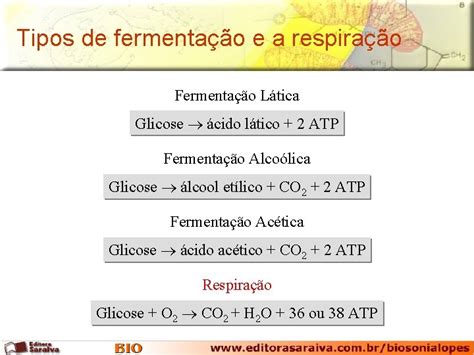 Tipos De Fermentao E A Respirao Fermentao Ltica