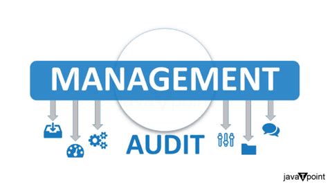 Difference Between Cost Audit And Management Audit Javatpoint