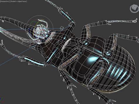 Hercules Beetle 3d Model