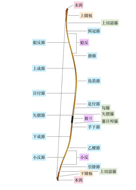 「弓」的各部位名稱歡迎下載 Kyo桑的弓道雜談