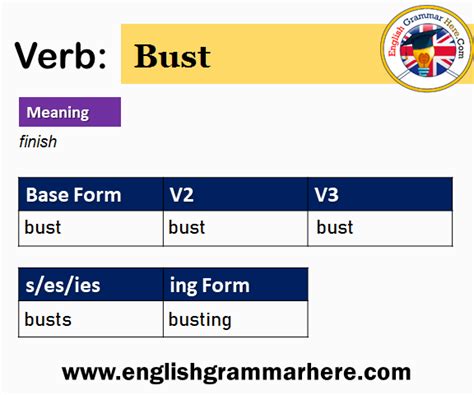 Bust V1 V2 V3 V4 V5 Past Simple And Past Participle Form Of Bust