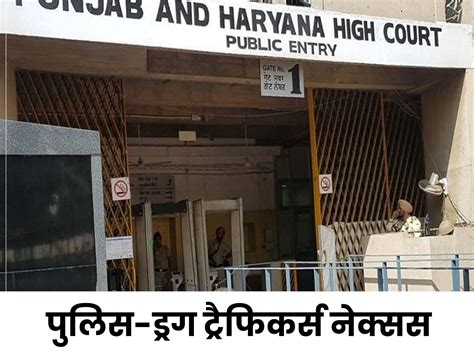 Punjab Drug Issue Case Hearing Punjab And Haryana High Court Latest