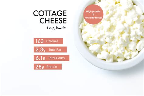 Cottage Cheese Nutrition Facts