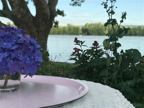 Restaurants Mit Rheinblick › Rheingauprinzessin