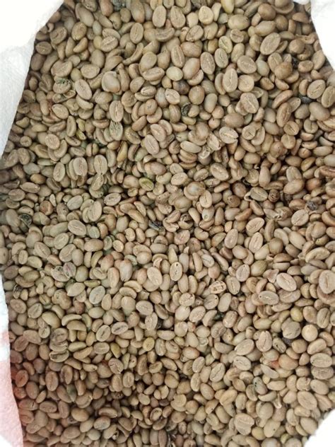 Robusta Coffee Green Bean Grade 2 Inaexport