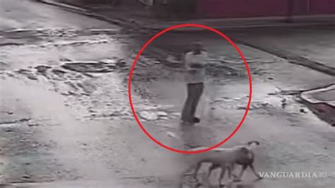 Sujeto disparó contra cuatro perros en Puebla video