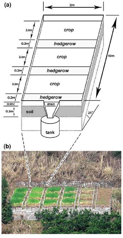 A The Design Of Experimental Plots B Photograph Showing