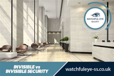 The Pros And Cons Of Visible And Invisible Security Watchful Eye