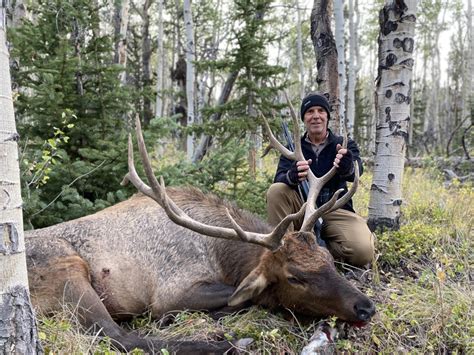 Colorado Elk Hunting Outfitters