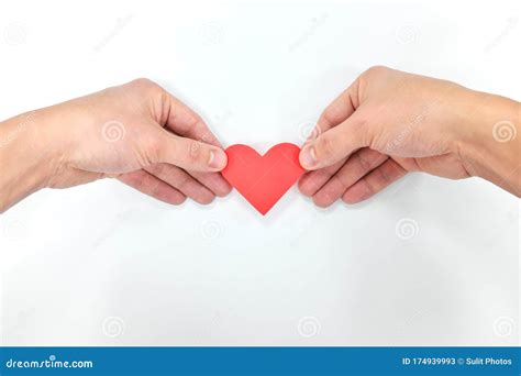 Hands Holding A Red Heart Shape In White Background Spread Love