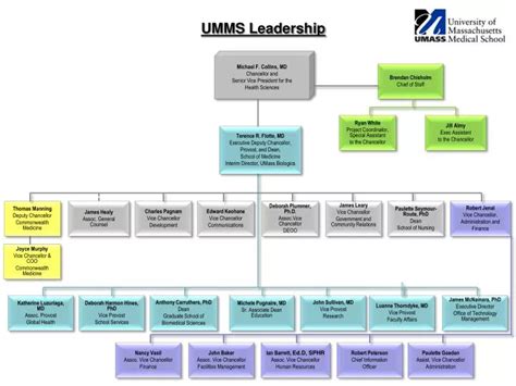 PPT - UMMS Leadership PowerPoint Presentation, free download - ID:6574712