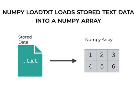 Numpy Loadtxt Explained Sharp Sight