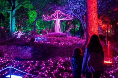 Naturaleza encendida el espectáculo de luces en la torre Girona de