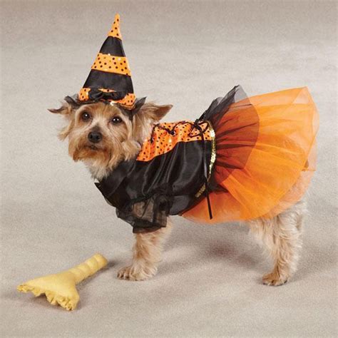 Halloween Perruno Los Mejores Disfraces Para Tu Mascota Revista KENA