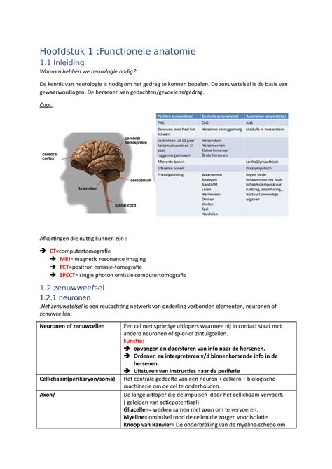 Samenvatting Neurologie Ht Hoofdstuk Functionele Anatomie