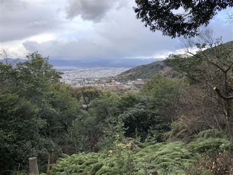 七面山・西野山・稲荷山・今熊野山・六条山・阿弥陀ヶ峰 らっちさんの大文字山・如意ヶ嶽・稲荷山の活動データ Yamap ヤマップ