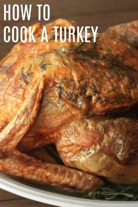 How To Cook A Turkey In A Convection Oven Recipe Recipe