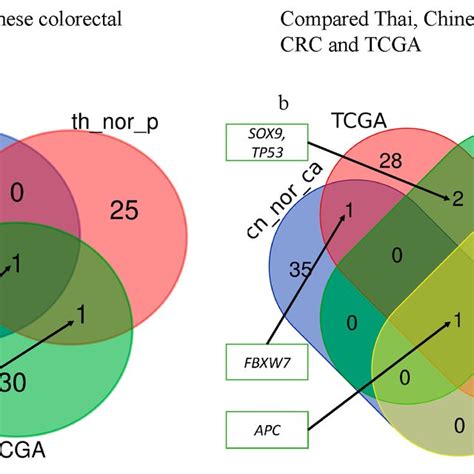 Comparison Of High Frequency Mutated Genes A The Comparison Of Genes Download Scientific