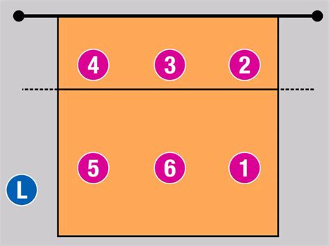 Posiciones Y Roles Clave En El Voleibol Una Gu A Completa