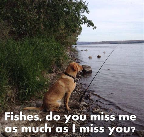 Fishingsir Fishing Humor Fishing Jokes Fish