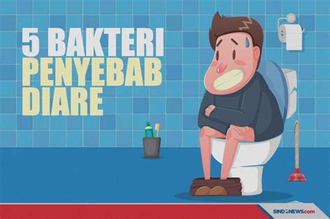 SINDOgrafis: Awas Hati-Hati, Kenali 5 Bakteri yang Menyebabkan Diare